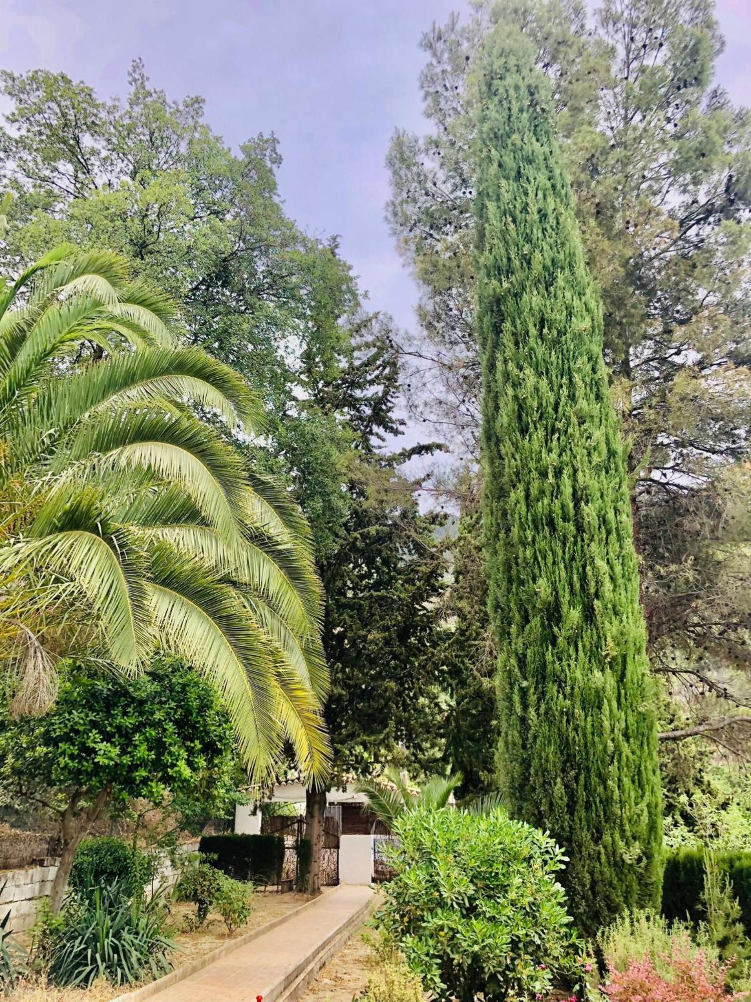 Villa Nueva Cazorla Mirador Cerro Del Escribano La Iruela Exterior foto